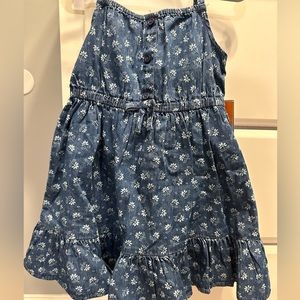 Brand New Gymboree Chambray Dress